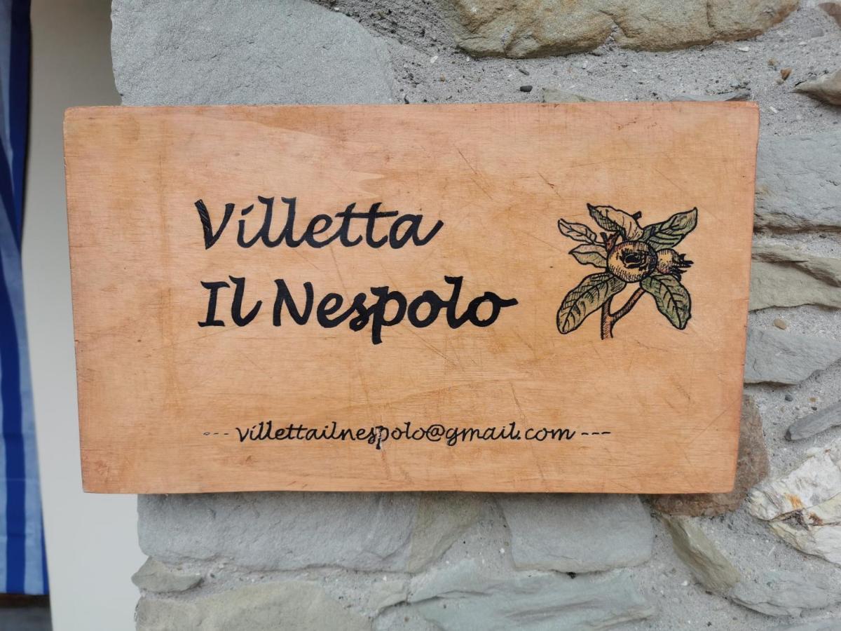 Villetta Il Nespolo Barberino di Mugello Luaran gambar